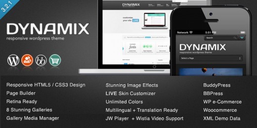 DynamiX - Business, Corporate WP Theme
