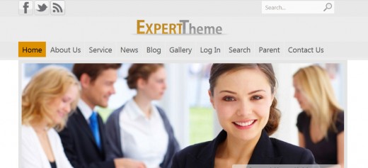 WordPress Expert Theme