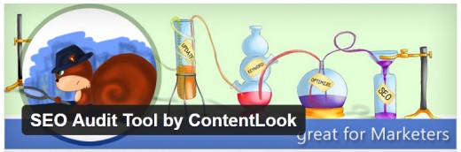 SEO Audit Tool by ContentLook