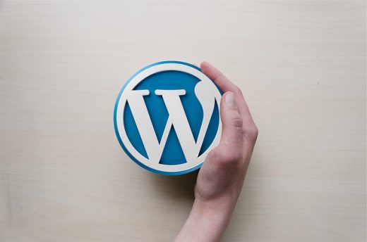 best-types-of-wordpress-themes-for-sales-pages