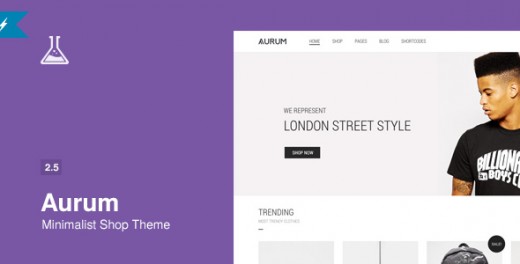 Aurum - Minimalist Shopping WordPress Theme